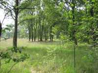 7500 Grijze Steen - Neterselse Heide 036 Meer GPS wandelingen kunt u vinden op  www.gpswalking.nl